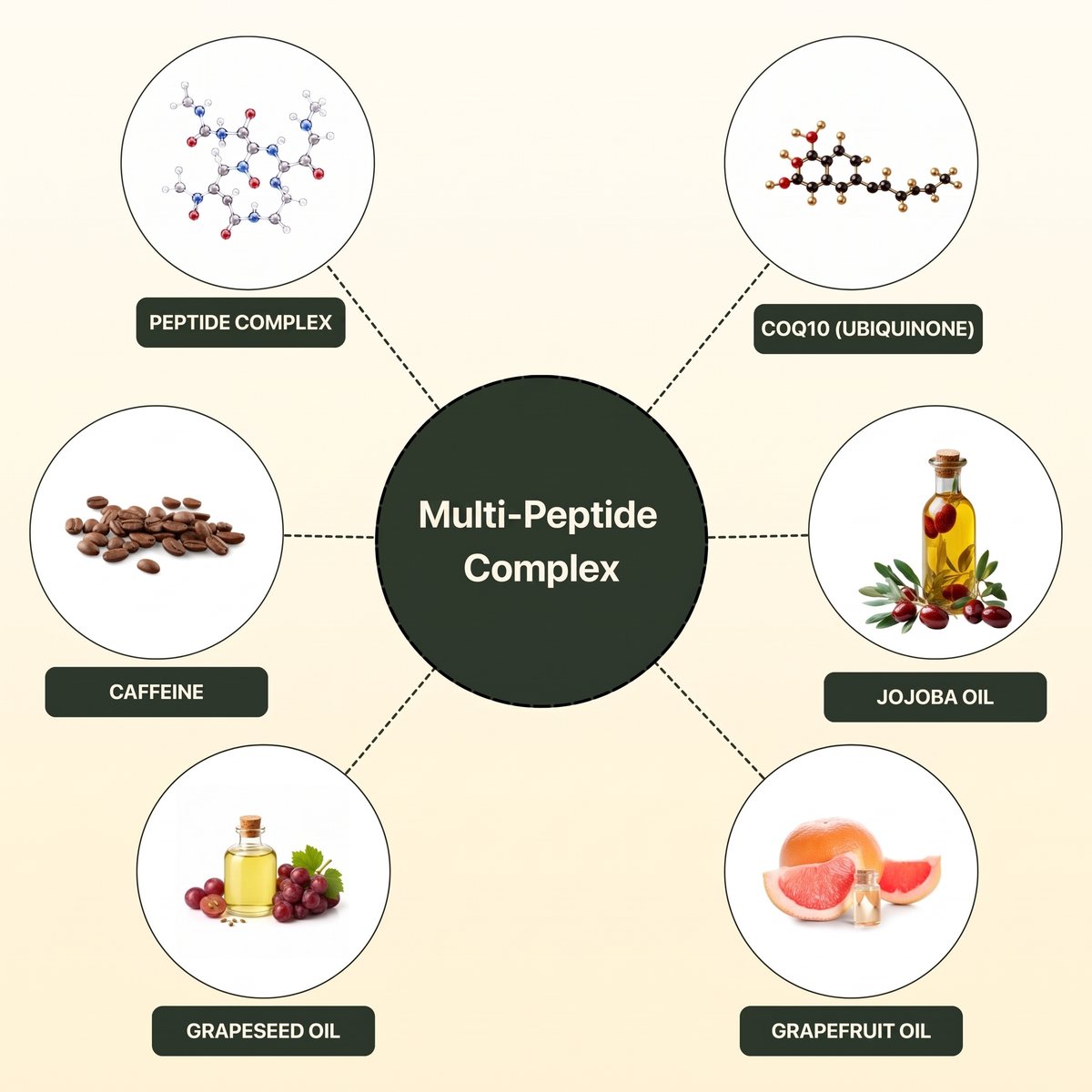 Muavia Multi-Peptide Formula: four peptides, CoQ10, caffeine, jojoba oil, grapeseed oil, sunflower oil