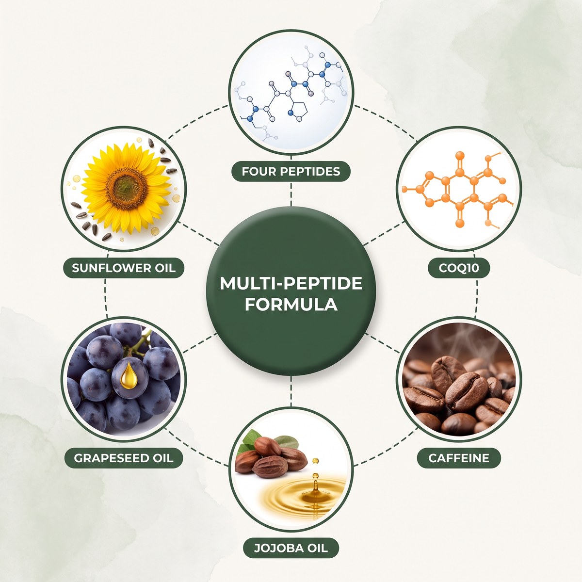 Muavia Multi-Peptide Formula: four peptides, CoQ10, caffeine, jojoba oil, grapeseed oil, sunflower oil