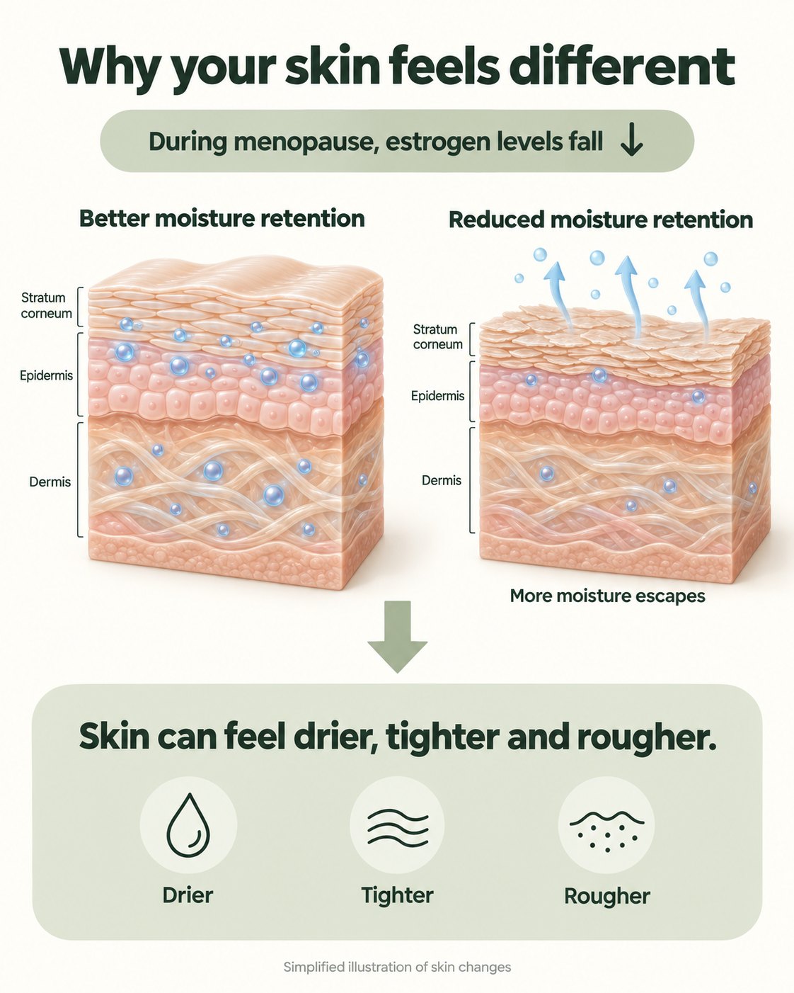 Why your skin feels different during menopause: reduced moisture retention